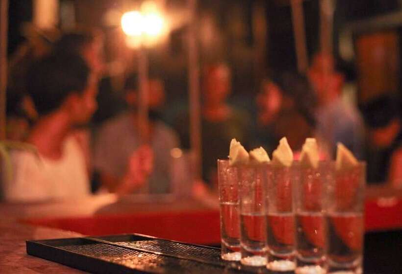 Lucky Traveler Hostel