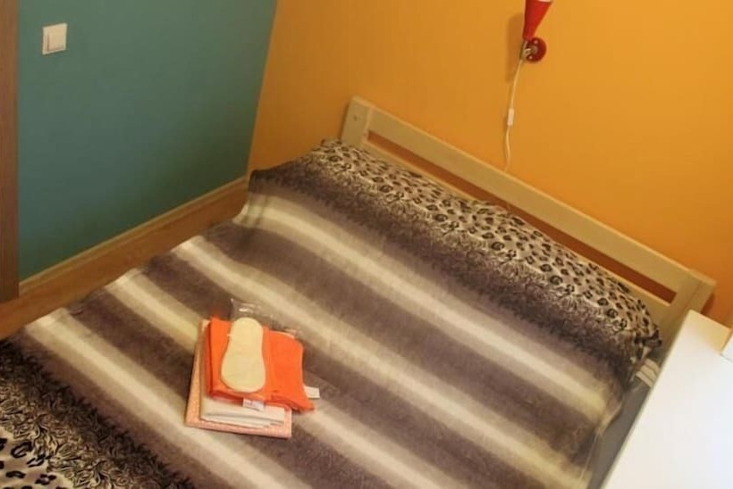 Vse Putem Pushkinskaya   Hostel