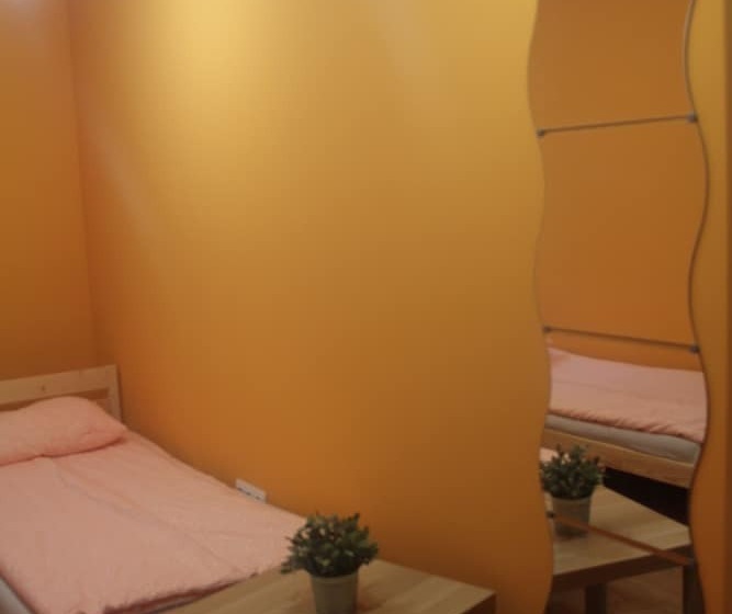 Vse Putem Pushkinskaya   Hostel