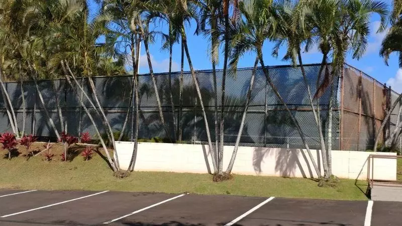 Banyan Harbor Resort