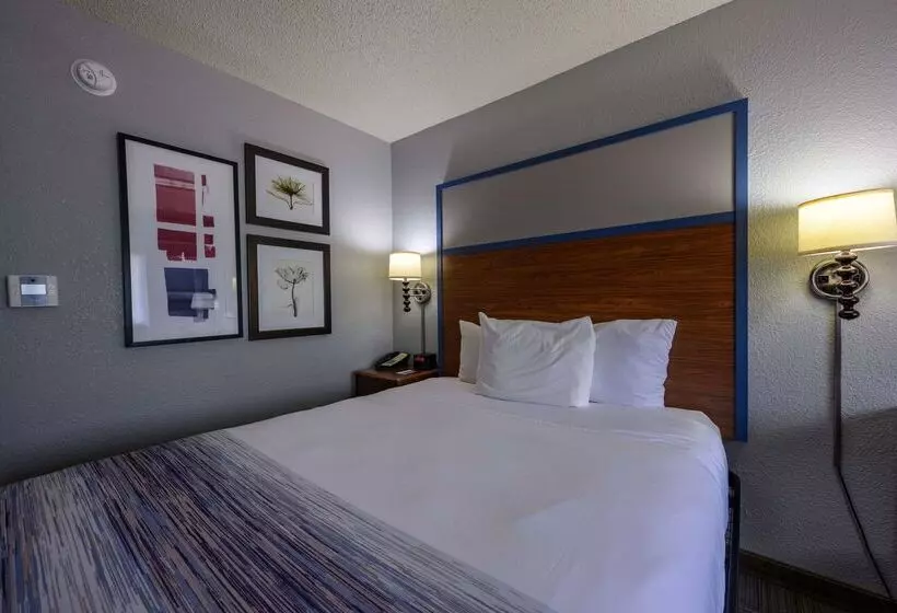 酒店 Americinn By Wyndham Monroe