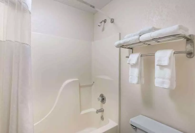 בית מלון כפרי Baymont By Wyndham Metropolis