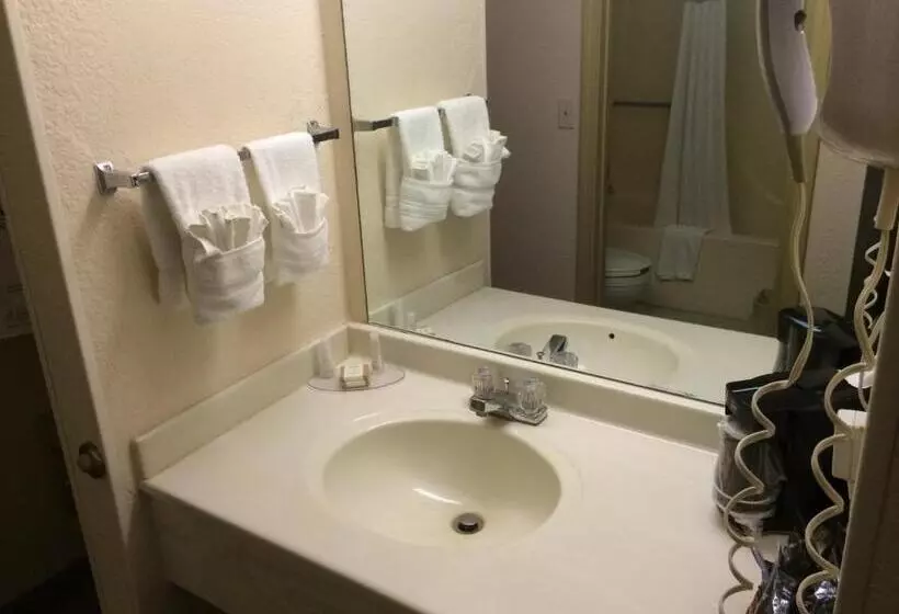 בית מלון כפרי Baymont By Wyndham Metropolis