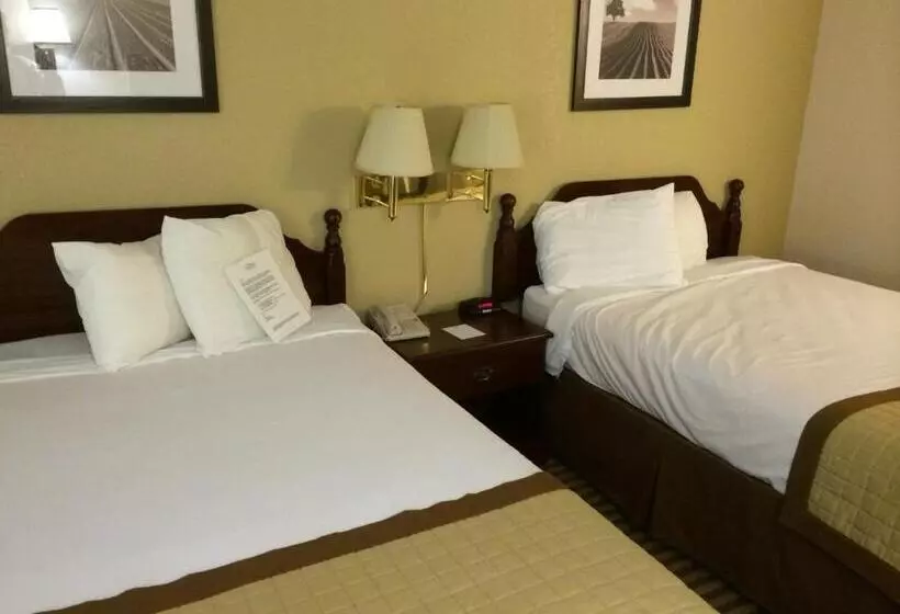 בית מלון כפרי Baymont By Wyndham Metropolis