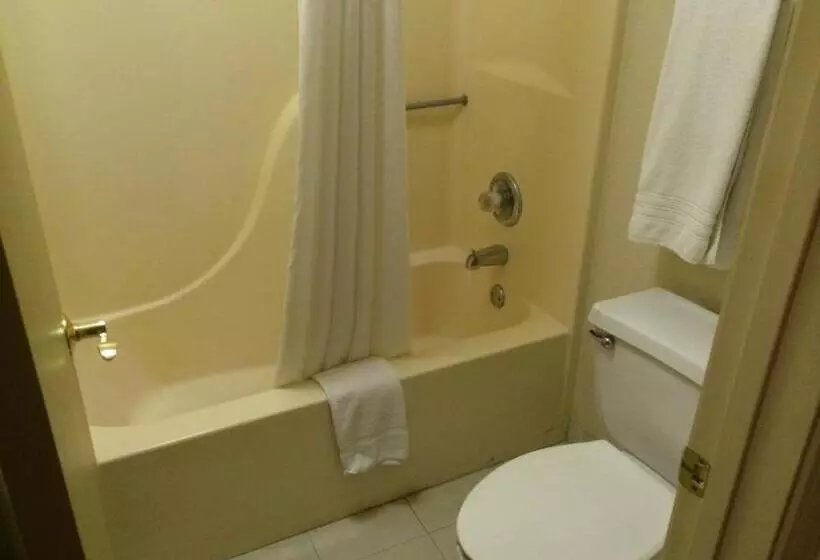 בית מלון כפרי Baymont By Wyndham Metropolis