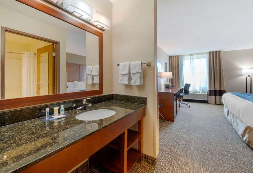 酒店 Comfort Inn Anderson South