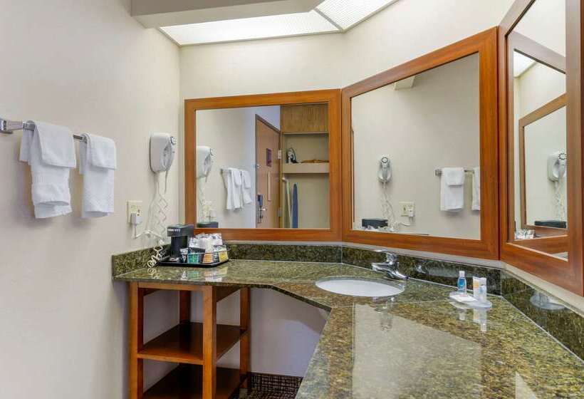 酒店 Comfort Inn Anderson South