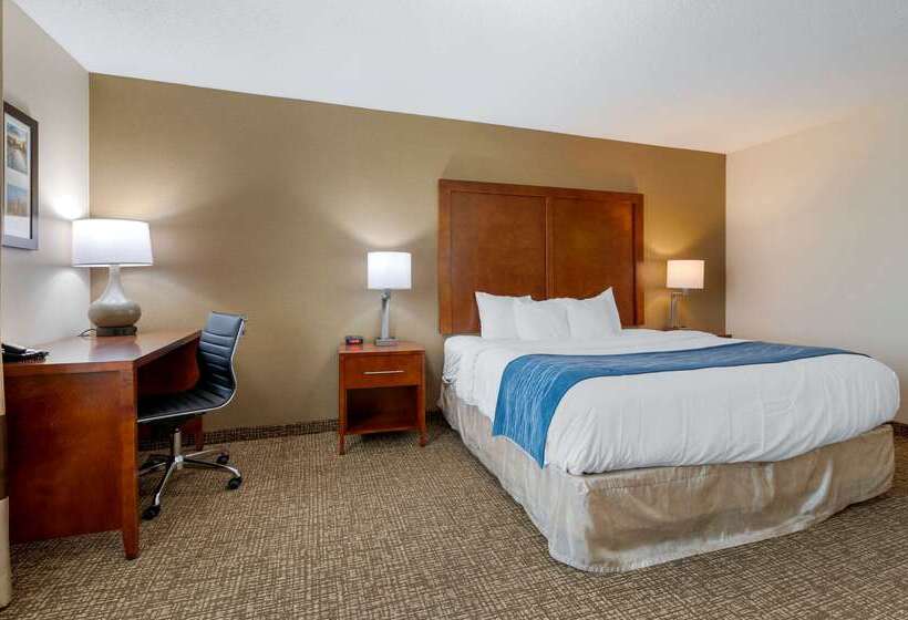 酒店 Comfort Inn Anderson South