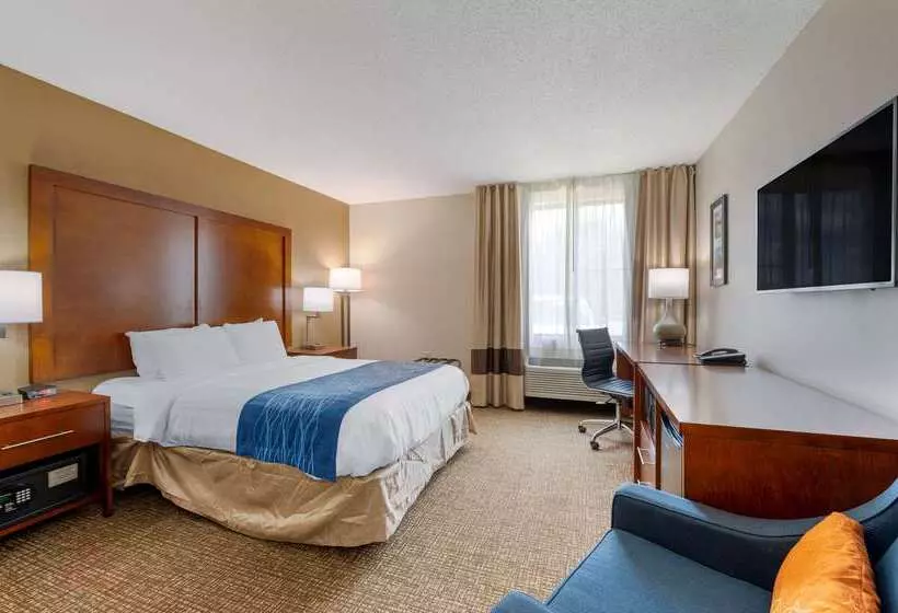 Hotelli Comfort Inn Anderson South
