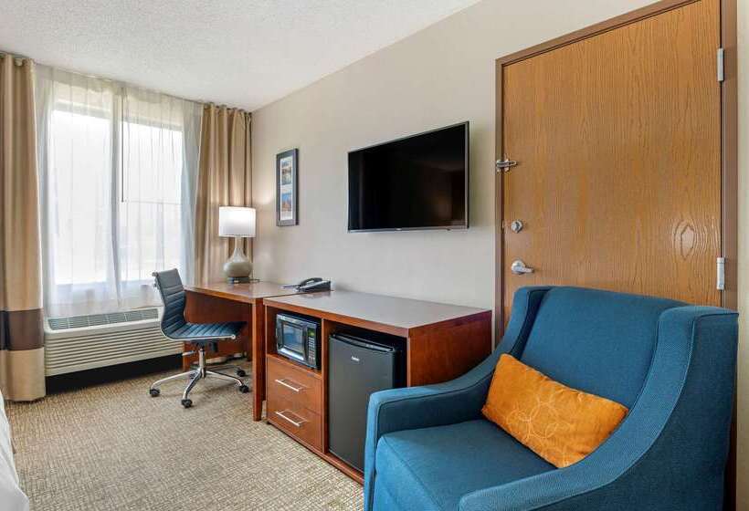 酒店 Comfort Inn Anderson South