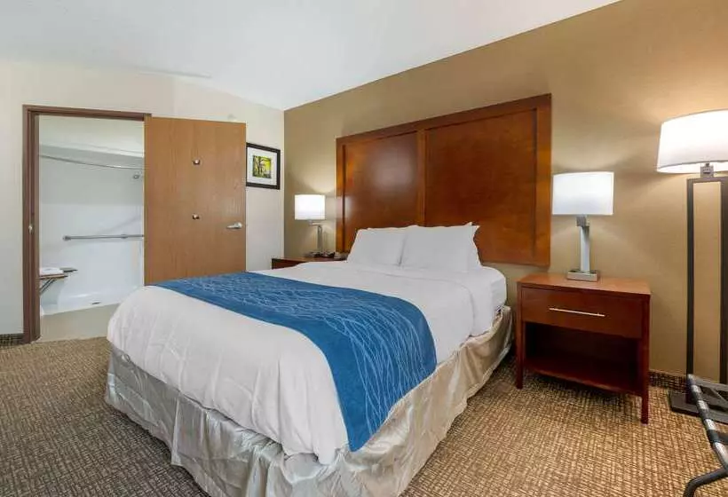 Hotelli Comfort Inn Anderson South