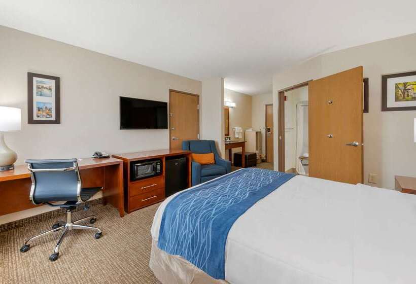 酒店 Comfort Inn Anderson South