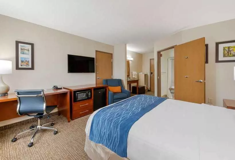 Hotelli Comfort Inn Anderson South