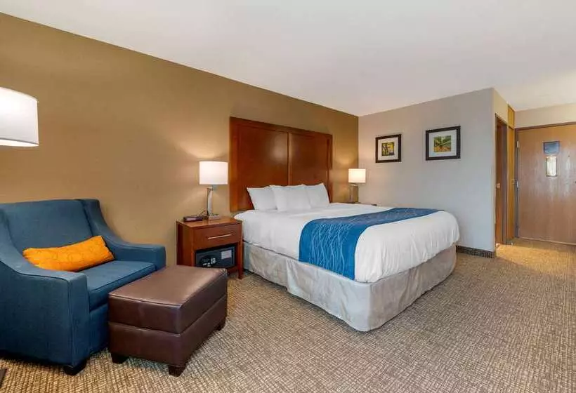Hotelli Comfort Inn Anderson South