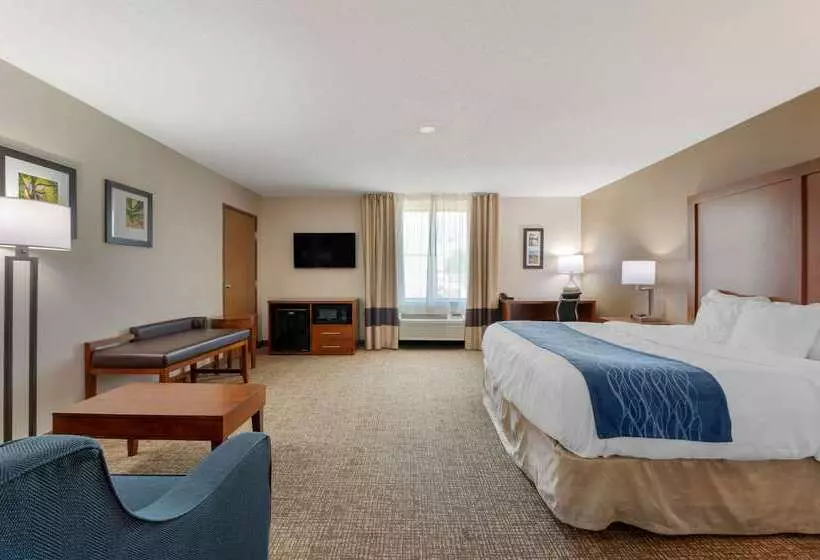 Hotelli Comfort Inn Anderson South