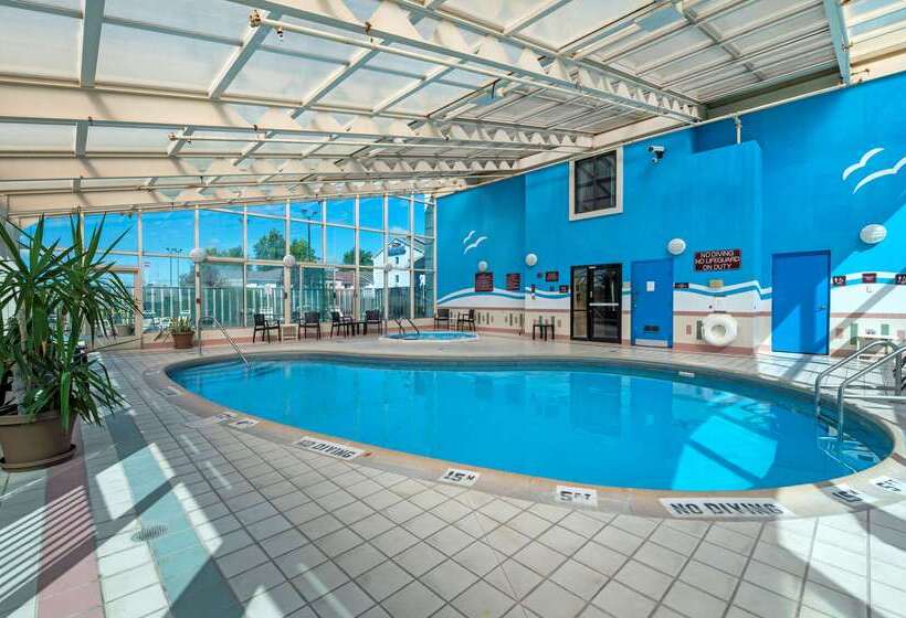 酒店 Comfort Inn Anderson South