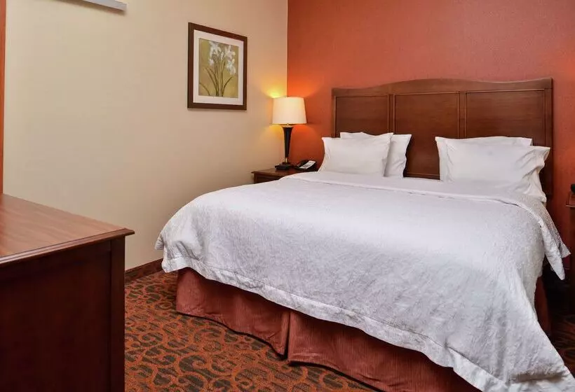 호텔 Hampton Inn Idaho Falls/airport