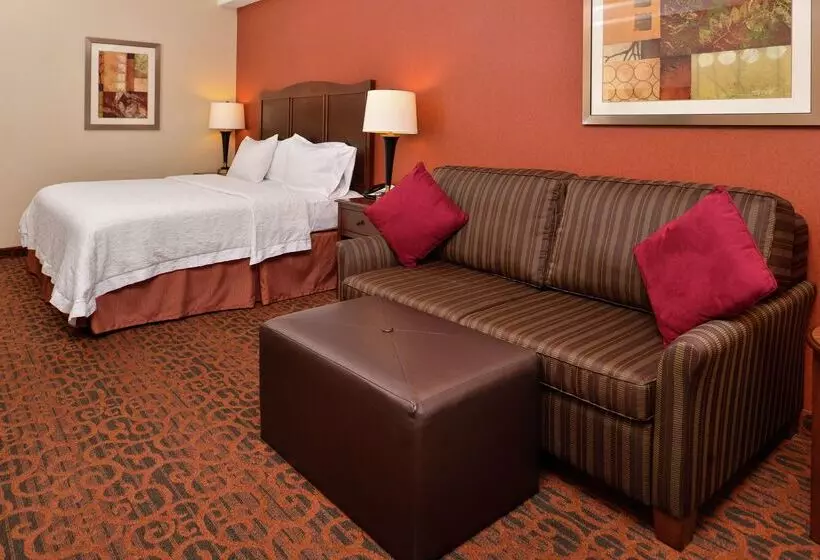 호텔 Hampton Inn Idaho Falls/airport