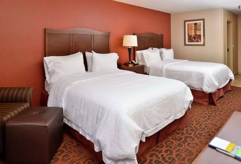 호텔 Hampton Inn Idaho Falls/airport