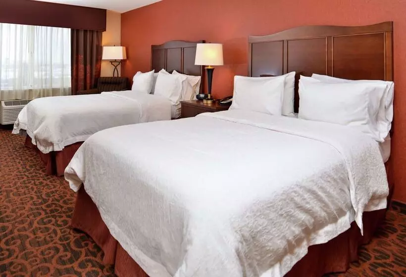 호텔 Hampton Inn Idaho Falls/airport