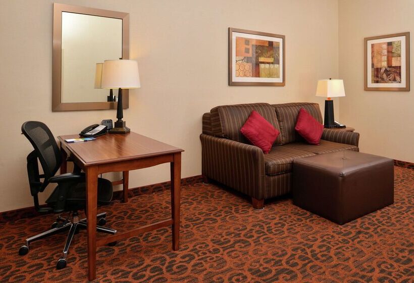 בית מלון כפרי Hampton Inn Idaho Falls/airport