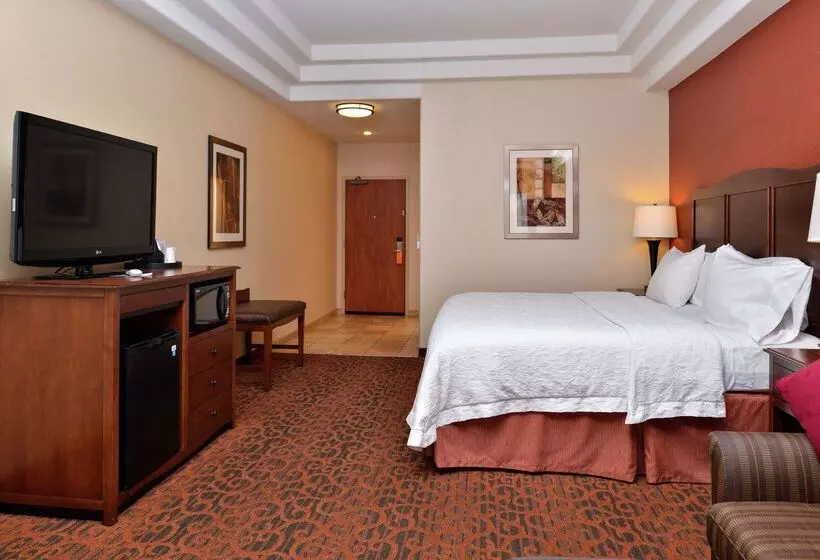 호텔 Hampton Inn Idaho Falls/airport