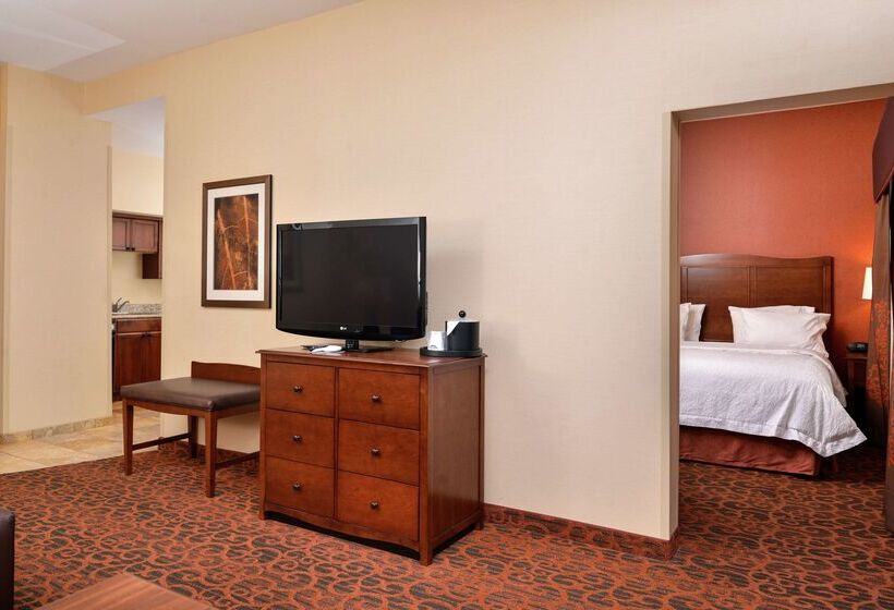 בית מלון כפרי Hampton Inn Idaho Falls/airport