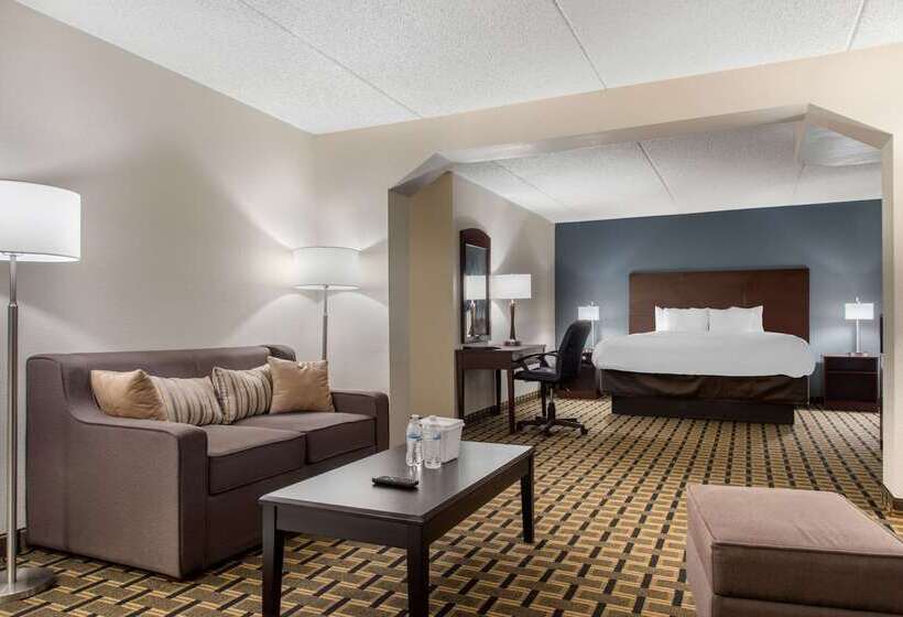 Отель Quality Inn & Suites