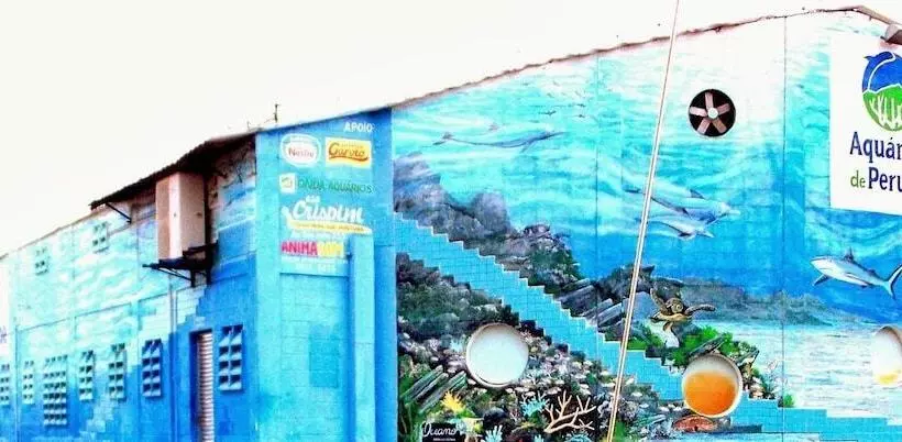 ユースホステル Pousada Peruibe 455