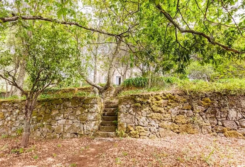 ベッドアンドブレックファースト Casa Do Cabeço