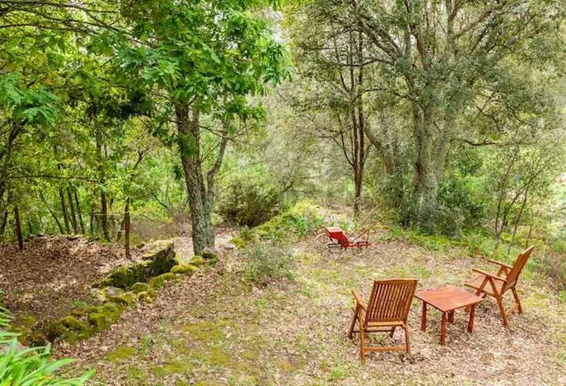 ベッドアンドブレックファースト Casa Do Cabeço