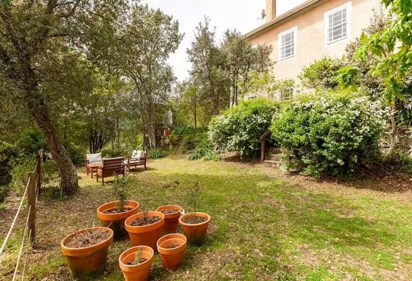 ベッドアンドブレックファースト Casa Do Cabeço