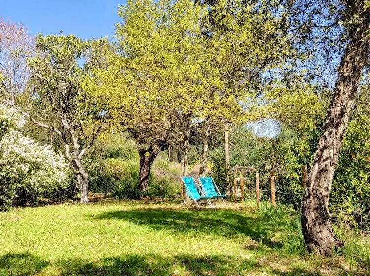 ベッドアンドブレックファースト Casa Do Cabeço