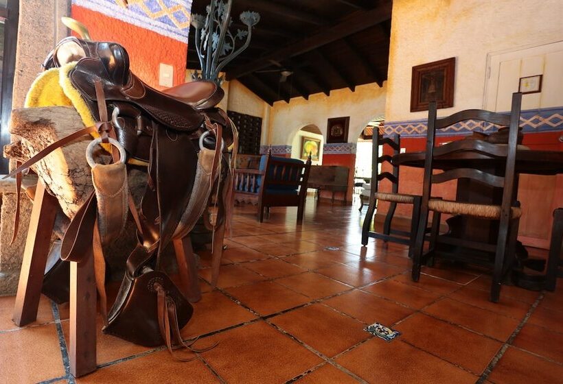 هتل Casa Colonial