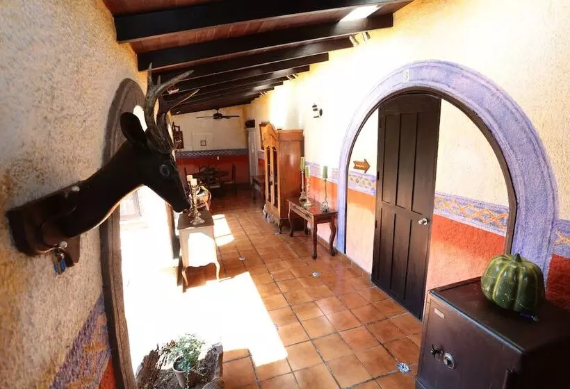 هتل Casa Colonial