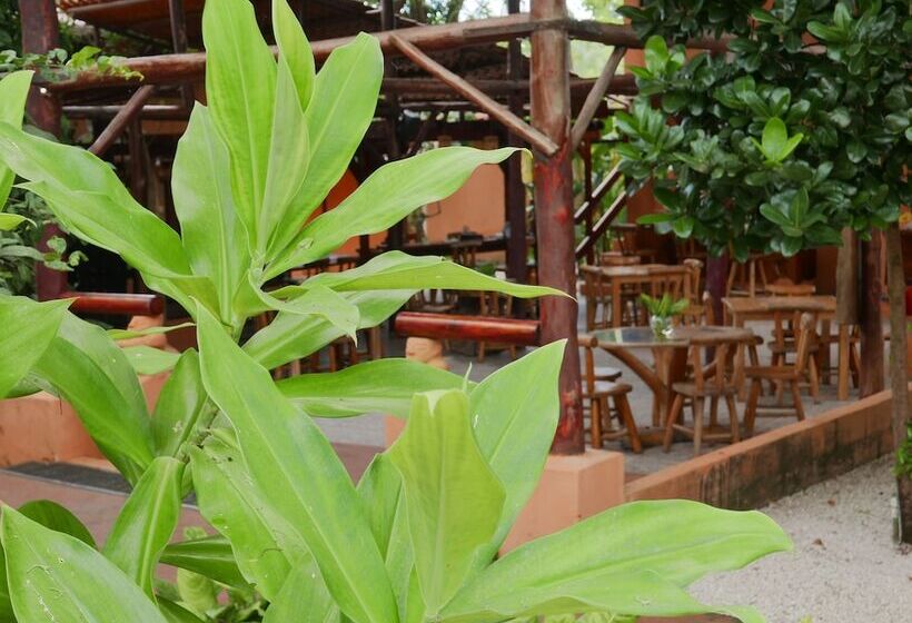 בית מלון כפרי Pension Playa Samara