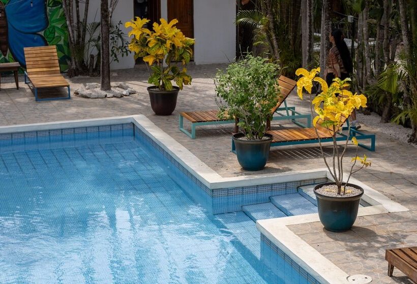 בית מלון כפרי Pension Playa Samara