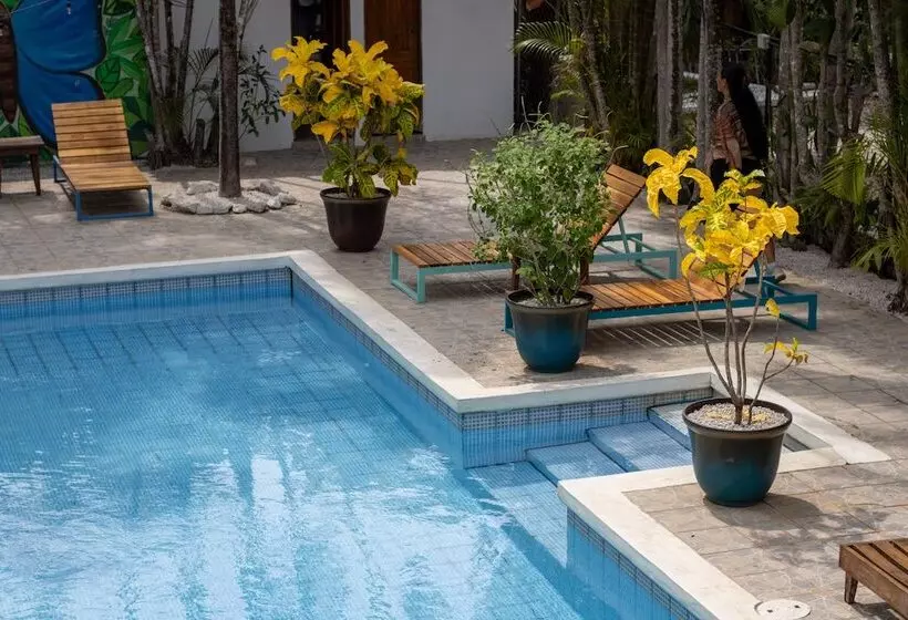 ホテル Pension Playa Samara