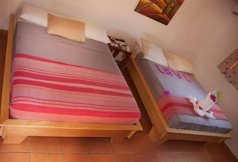 ホテル Pension Playa Samara