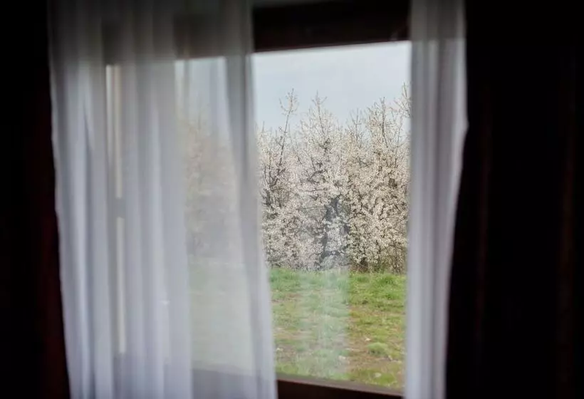 Hotelli Rodizio Hill Resort