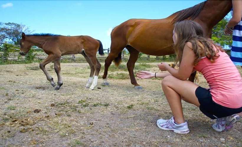 Kelso Villa, 4br By Jamaican Treasures