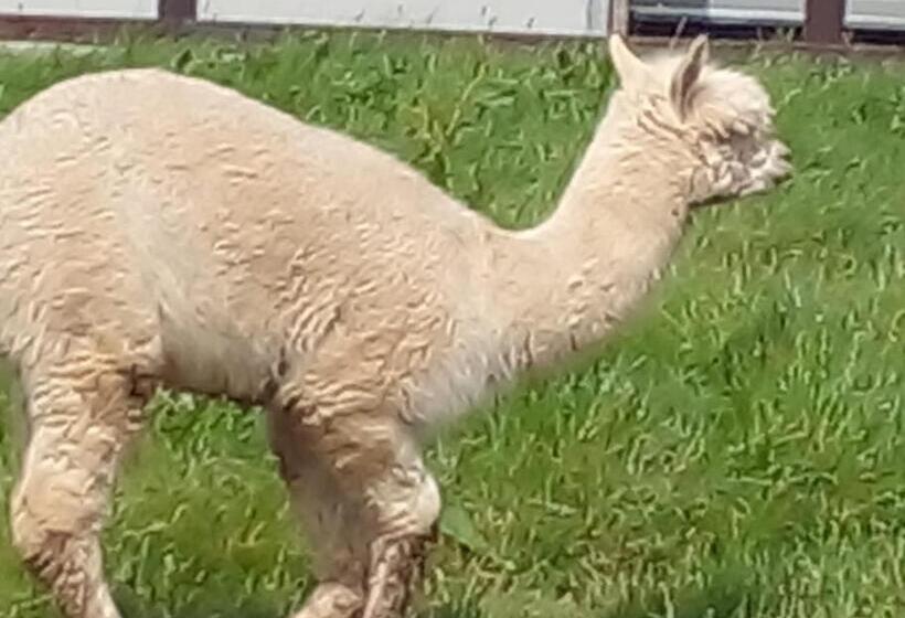 Tara View Apartments