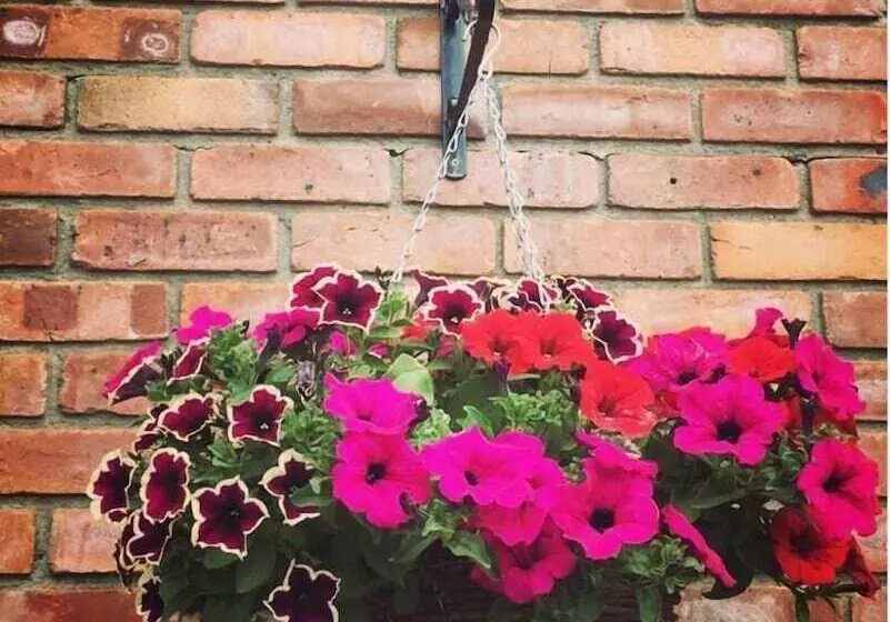 Tara View Apartments