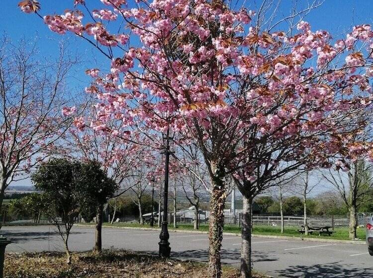 Tara View Apartments