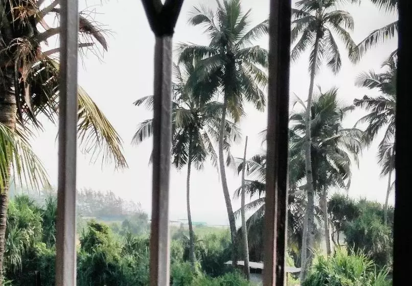 Inn Shawn S Morjim Enclave