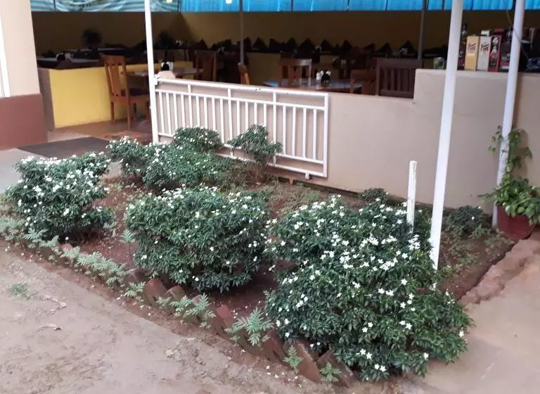 Inn Shawn S Morjim Enclave