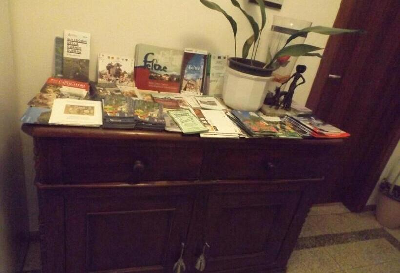 住宿加早餐  Villa Norma