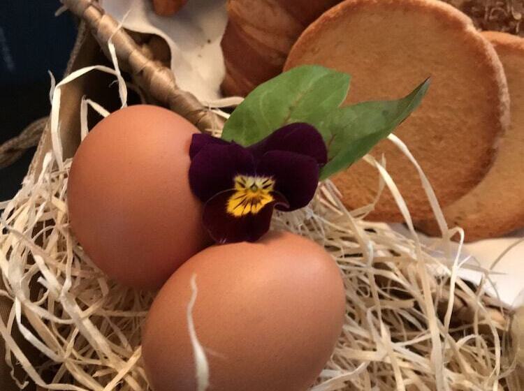 Cityaparthotel De Gele Rijder