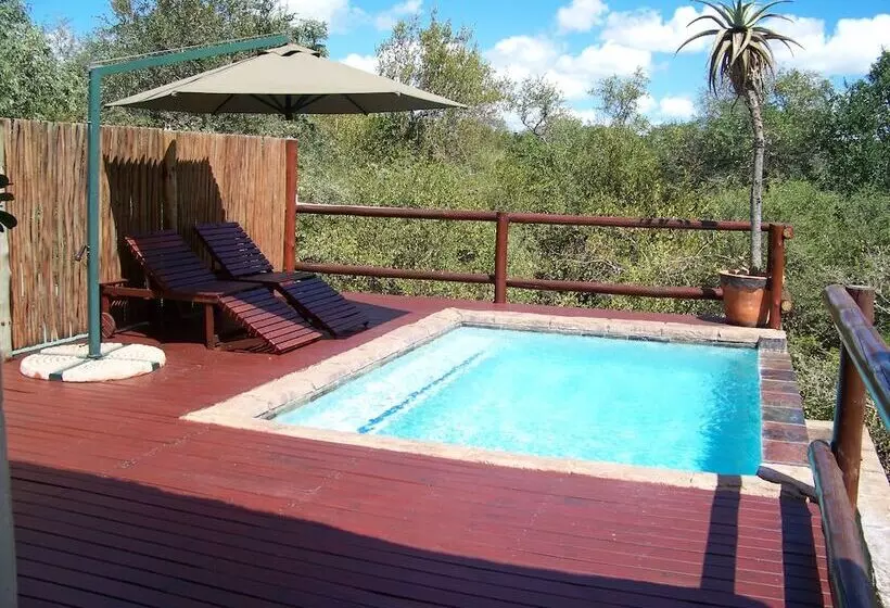 ホテル Bushwise Safari Lodge Kruger Park