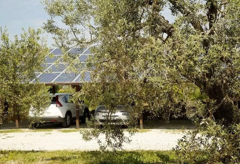 田舎風ホテル Agriturismo San Gregorio